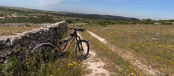 vale da fornea e-bike tour porto de mos